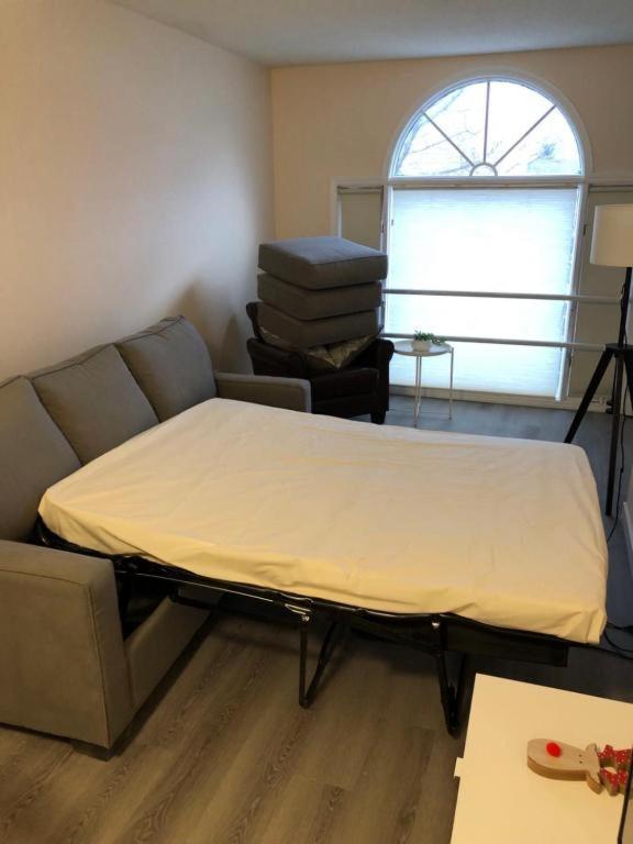Unit #201 Cozy Mountain View 1Br In Dt Διαμέρισμα Κάνμορ Εξωτερικό φωτογραφία